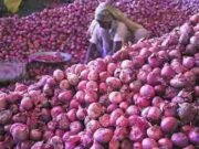 Big fall in onion prices