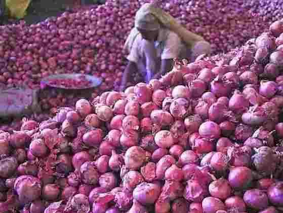 Big fall in onion prices