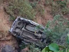 Car plunges into 100-foot ravine one dead