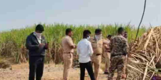 Dead body of a woman was found in a sugarcane field