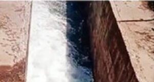 Summer circulation released from the left and right canals of Nilawande