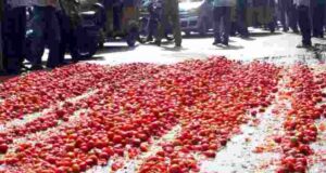Angry farmer throws tomatoes on the road