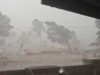 Sangamner Rahata Stormy rain with stormy wind, trees were uprooted