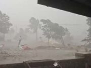 Sangamner Rahata Stormy rain with stormy wind, trees were uprooted