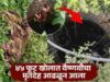 Dead Body of young woman found on the bank of a well