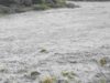 Flood situation in Mula River