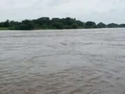 Heavy rain in Bhandardara Waki, Pimpalgaon Khand overflow, Godavari flows
