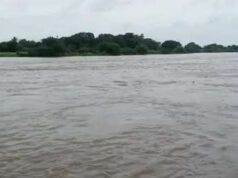 Heavy rain in Bhandardara Waki, Pimpalgaon Khand overflow, Godavari flows