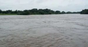 Heavy rain in Bhandardara Waki, Pimpalgaon Khand overflow, Godavari flows