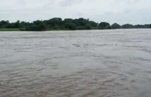 Heavy rain in Bhandardara Waki, Pimpalgaon Khand overflow, Godavari flows
