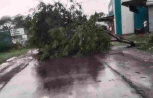 Heavy rains in this area, trees fell on the road