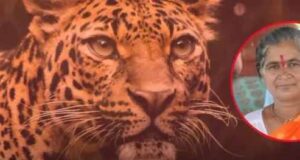 Woman injured in leopard attack dies