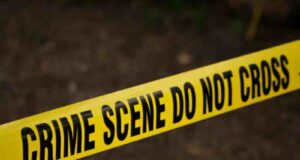 Youth stabs three people with a scythe one dies