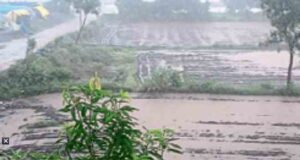 arrival of monsoon in Bhandardara dam catchment