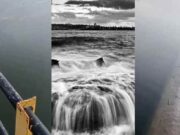 dam in Ahilyanagar district overflows in June for the first time in 40 years