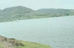 Adhala dam in Akole taluka overflows