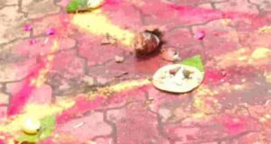 Killing a rooster by throwing turmeric and saffron on the road
