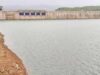 Rainfall in the watershed increased, Bhandardara and Nilwande were filled