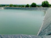 Two children die after swimming in a farm pond
