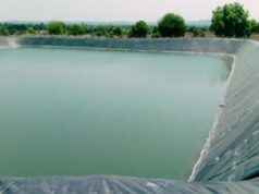 Two children die after swimming in a farm pond
