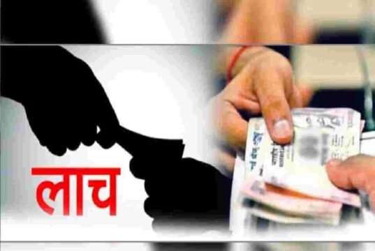 Bribe of Rs 50 thousand; Talathi in charge caught