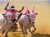 Spectator dies after being hit by bullock cart during race