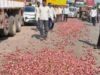 संगमनेर: शेतकर्याने रस्त्यावर ओतला कांदा, गतिमान सरकारची लक्षणे Farmer pours onion on road, signs of dynamic government