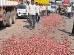 संगमनेर: शेतकर्याने रस्त्यावर ओतला कांदा, गतिमान सरकारची लक्षणे Farmer pours onion on road, signs of dynamic government